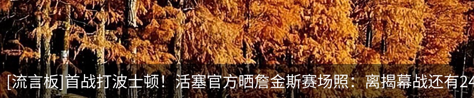 最新动态